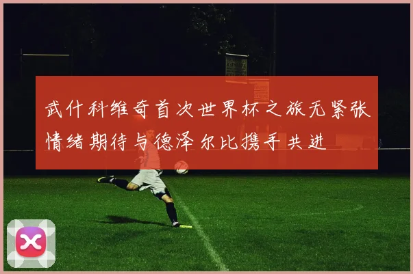 武什科维奇首次世界杯之旅无紧张情绪期待与德泽尔比携手共进