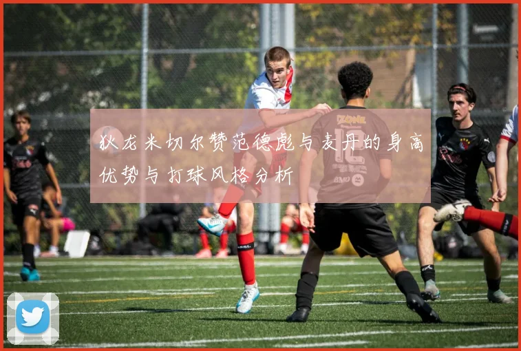 狄龙米切尔赞范德彪与麦丹的身高优势与打球风格分析
