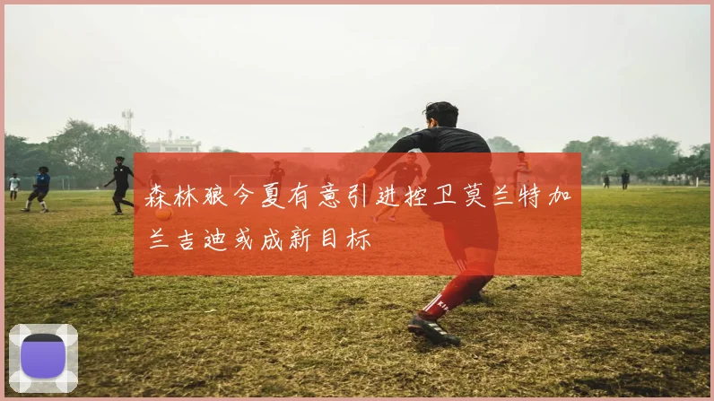 森林狼今夏有意引进控卫莫兰特加兰吉迪或成新目标